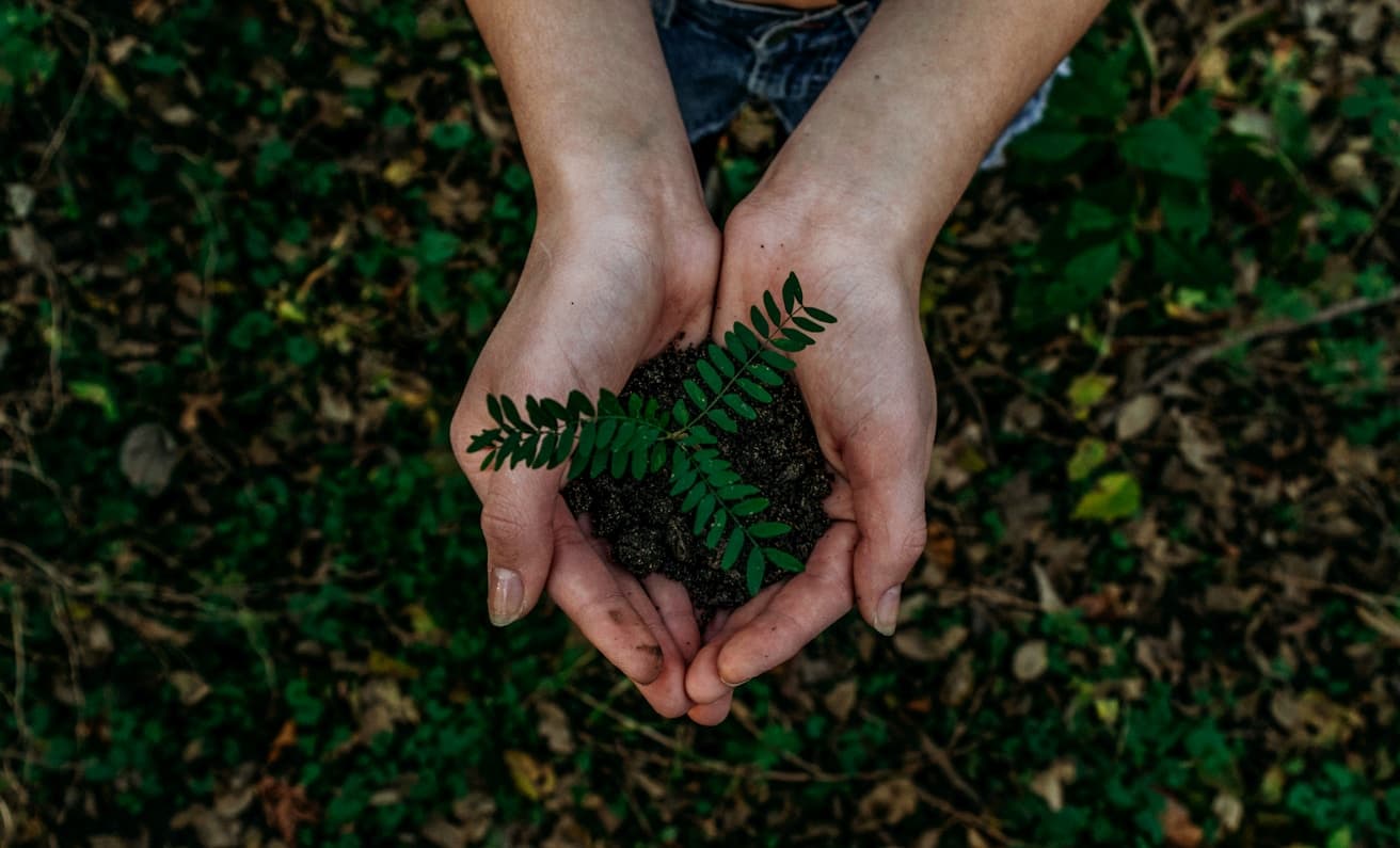 Nueva normativa de evaluación de impacto ambiental llega a organizaciones